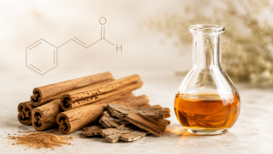 Cinnamaldehyde aroma chemical shown with cinnamon sticks, cassia bark, amber liquid in a glass flask, and a subtle molecular structure.
