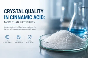 Cinnamic Acid crystal quality displayed in a laboratory setting with white crystals, chemical sample, and manufacturing research background.